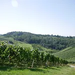 Kirschbluete *