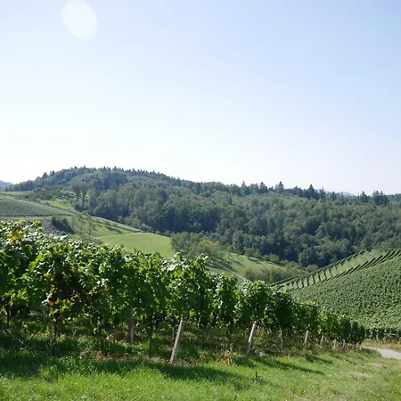 Kirschblüte * Mosbach (Achern)